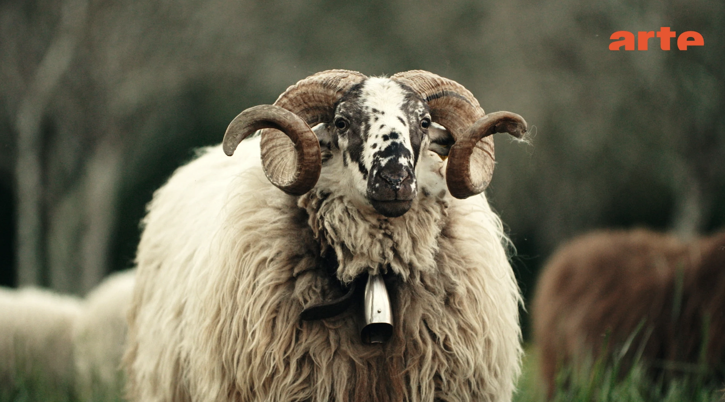 Italie, des fermes pas comme les autres