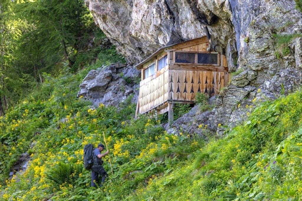Vivre avec les loups